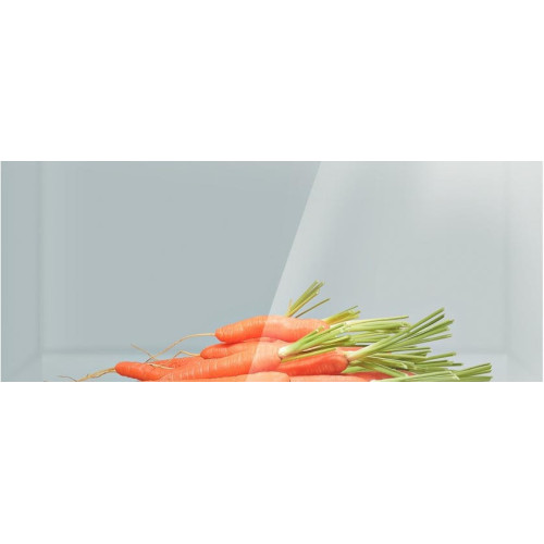 Двухкамерный холодильник Bosch KGN 49SB21 R