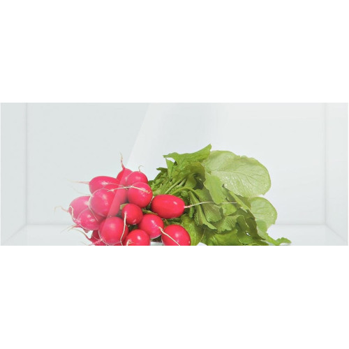 Двухкамерный холодильник Bosch KGN 49SB21 R