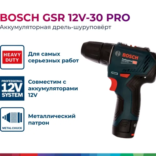 Bosch GSR 12V-30 Professional аккумуляторная дрель-шуруповерт (2 x 2 Ач, ЗУ), 06019G9020
